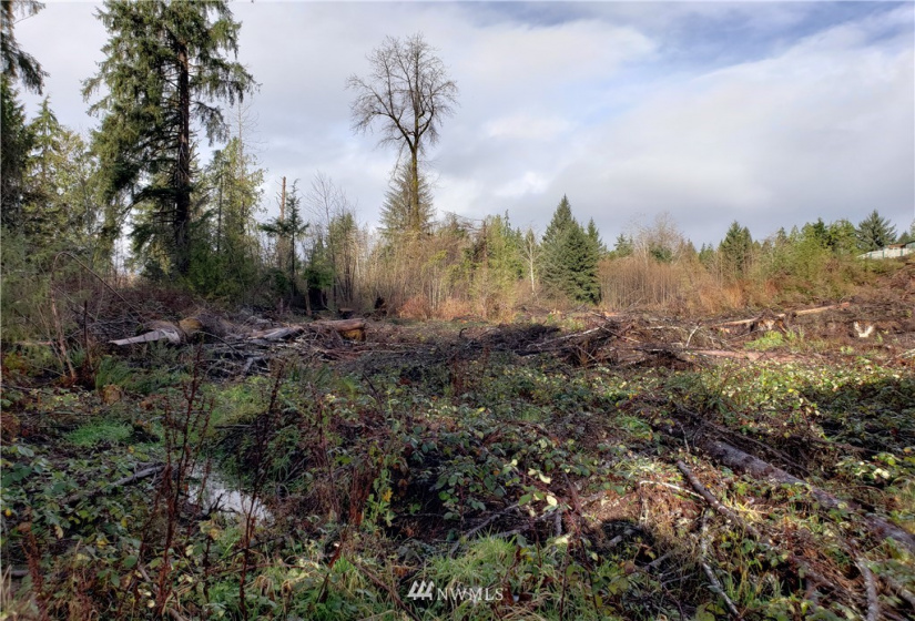 17 Burn, Humptulips, Washington 98552, ,Land,For Sale,Burn,NWM1871983