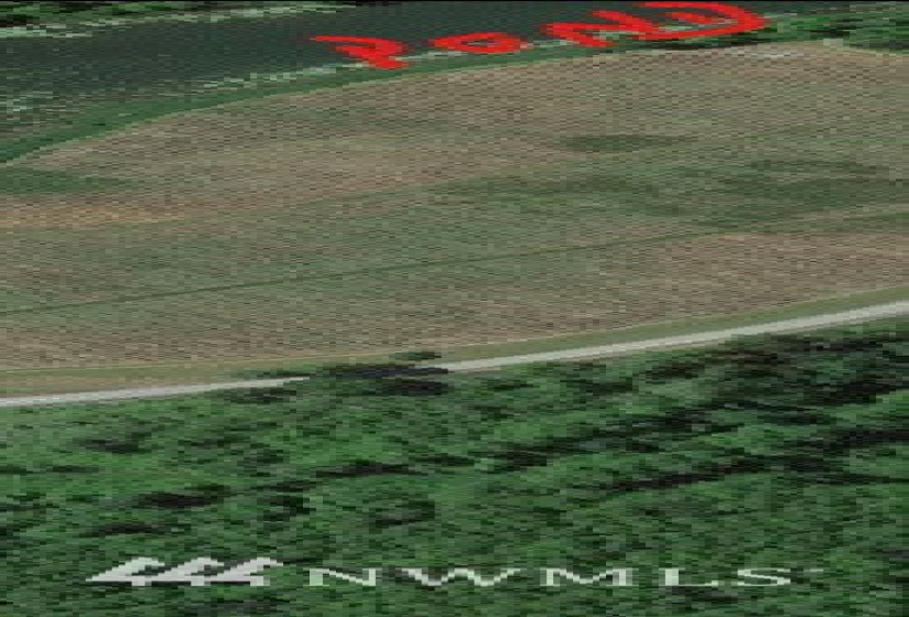 0 Salem Plant, Mossyrock, Washington 98564, ,Land,For Sale,Salem Plant,NWM1870352
