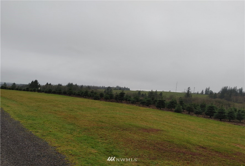 0 Salem Plant, Mossyrock, Washington 98564, ,Land,For Sale,Salem Plant,NWM1870352