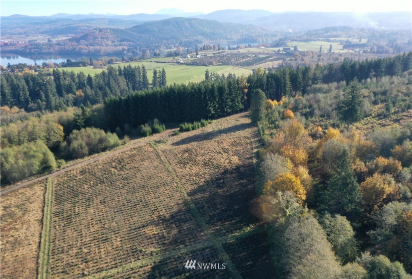0 Salem Plant, Mossyrock, Washington 98564, ,Land,For Sale,Salem Plant,NWM1870352