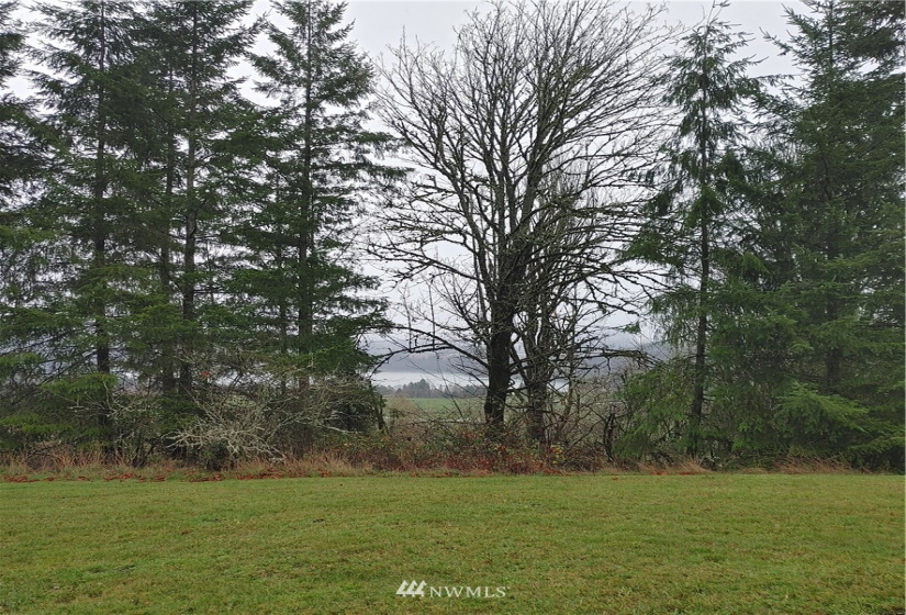 0 Salem Plant, Mossyrock, Washington 98564, ,Land,For Sale,Salem Plant,NWM1870352