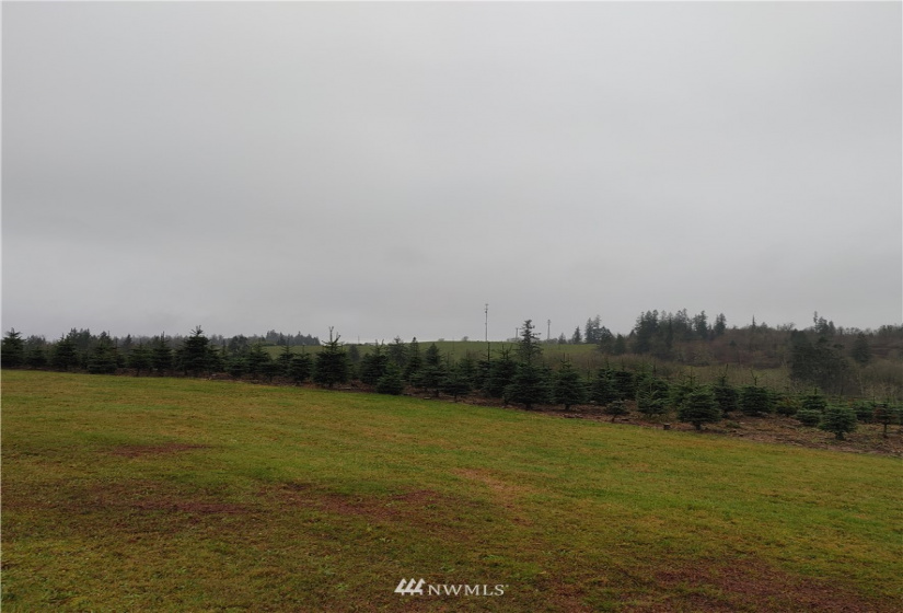 0 Salem Plant, Mossyrock, Washington 98564, ,Land,For Sale,Salem Plant,NWM1870352
