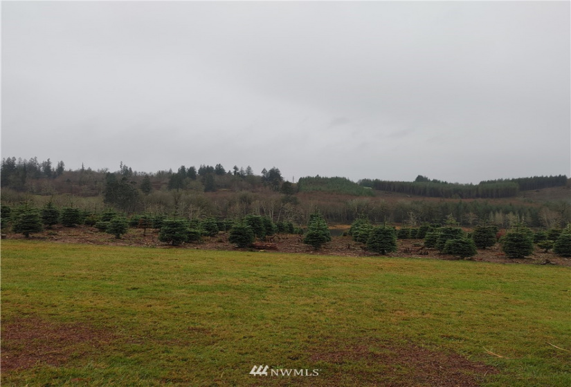 0 Salem Plant, Mossyrock, Washington 98564, ,Land,For Sale,Salem Plant,NWM1870352