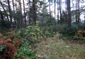 1710 203RD, Ocean Park, Washington 98640, ,Land,For Sale,203RD,NWM1871341