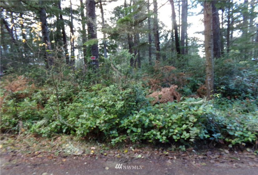 1710 203RD, Ocean Park, Washington 98640, ,Land,For Sale,203RD,NWM1871341