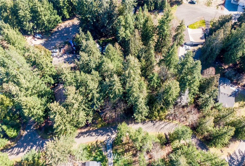 18420 Britchen, Yelm, Washington 98597, ,Land,For Sale,Britchen,NWM1874305