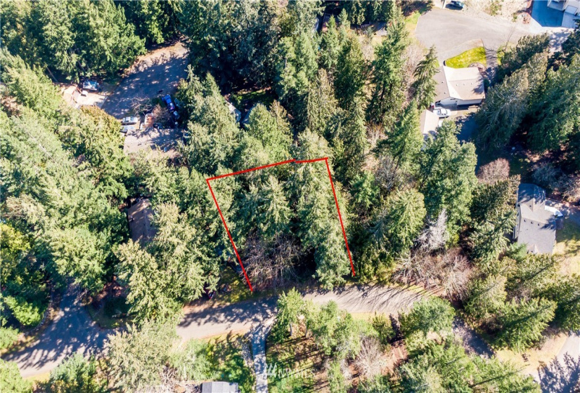 18420 Britchen, Yelm, Washington 98597, ,Land,For Sale,Britchen,NWM1874305