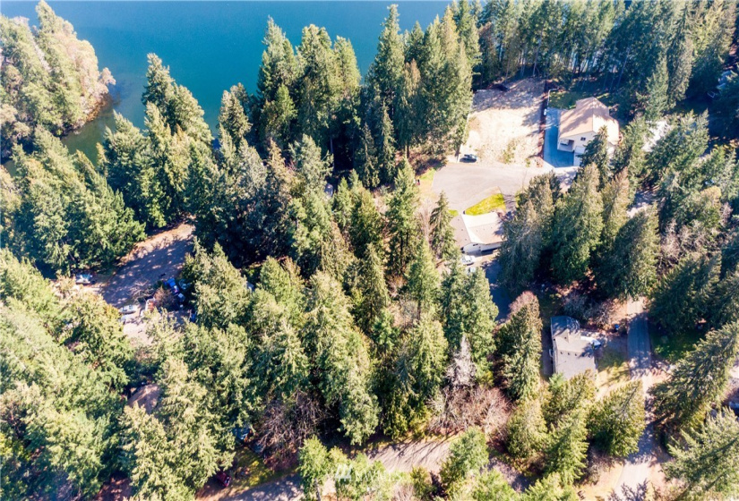 18420 Britchen, Yelm, Washington 98597, ,Land,For Sale,Britchen,NWM1874305