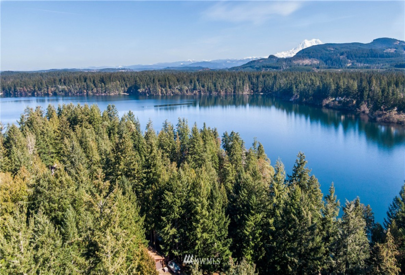 18420 Britchen, Yelm, Washington 98597, ,Land,For Sale,Britchen,NWM1874305