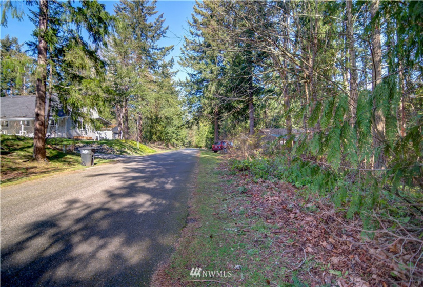 18420 Britchen, Yelm, Washington 98597, ,Land,For Sale,Britchen,NWM1874305