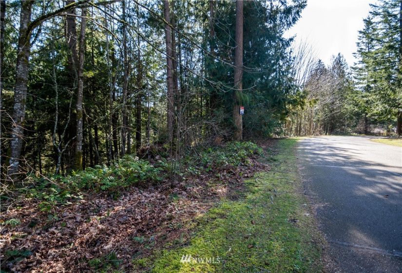 18420 Britchen, Yelm, Washington 98597, ,Land,For Sale,Britchen,NWM1874305