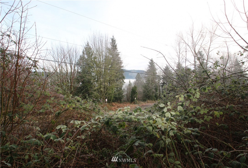 13712 Jordan Trails, Arlington, Washington 98223, ,Land,For Sale,Jordan RIver Trails,Jordan Trails,NWM1874190