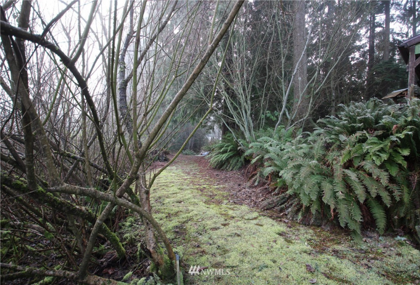 13712 Jordan Trails, Arlington, Washington 98223, ,Land,For Sale,Jordan RIver Trails,Jordan Trails,NWM1874190