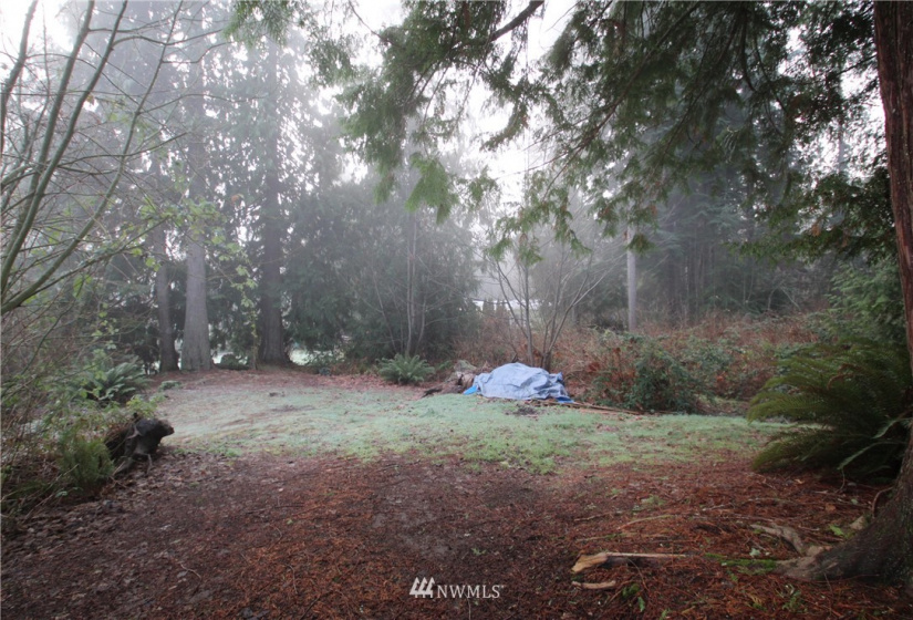 13712 Jordan Trails, Arlington, Washington 98223, ,Land,For Sale,Jordan RIver Trails,Jordan Trails,NWM1874190