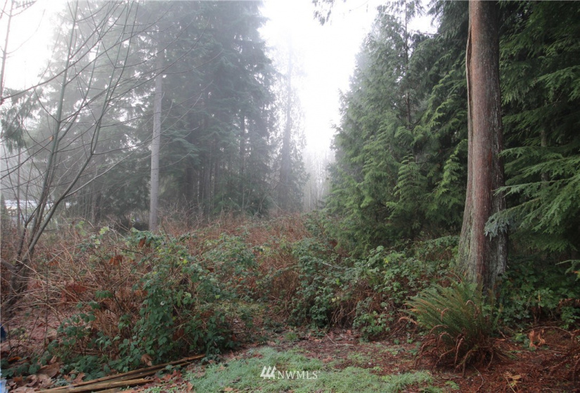 13712 Jordan Trails, Arlington, Washington 98223, ,Land,For Sale,Jordan RIver Trails,Jordan Trails,NWM1874190