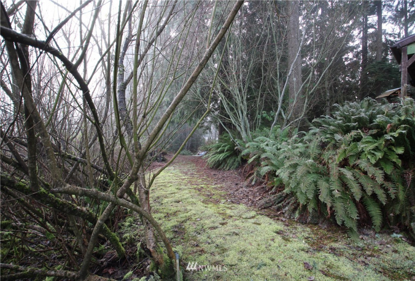 13712 Jordan Trails, Arlington, Washington 98223, ,Land,For Sale,Jordan RIver Trails,Jordan Trails,NWM1874190