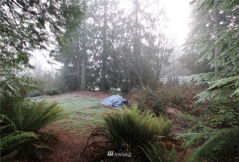 13712 Jordan Trails, Arlington, Washington 98223, ,Land,For Sale,Jordan RIver Trails,Jordan Trails,NWM1874190