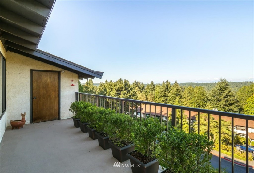 1720 179th, Shoreline, Washington 98155, 1 Bedroom Bedrooms, ,1 BathroomBathrooms,Residential,For Sale,Kuleana Forest Hills,179th,NWM1876778