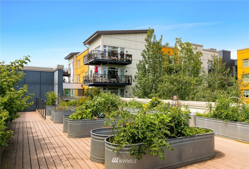 15100 6th, Burien, Washington 98166, 1 Bedroom Bedrooms, ,1 BathroomBathrooms,Residential,For Sale,Burien Town Square,6th,NWM1876804