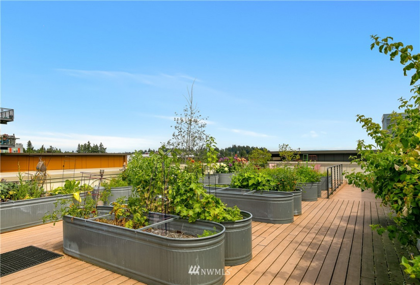 15100 6th, Burien, Washington 98166, 1 Bedroom Bedrooms, ,1 BathroomBathrooms,Residential,For Sale,Burien Town Square,6th,NWM1876804