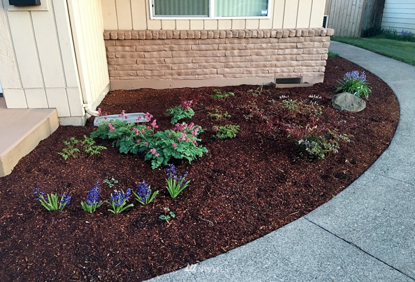 328 6th, Auburn, Washington 98002, 3 Bedrooms Bedrooms, ,1 BathroomBathrooms,Residential,For Sale,James W. Warren First Addition to Auburn,6th,NWM1874736