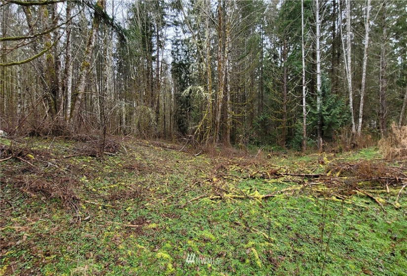 429 Rivendell, Grapeview, Washington 98546, 4 Bedrooms Bedrooms, ,3 BathroomsBathrooms,Residential,For Sale,Rivendell,NWM1877870