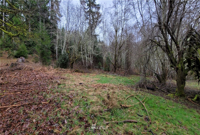 429 Rivendell, Grapeview, Washington 98546, 4 Bedrooms Bedrooms, ,3 BathroomsBathrooms,Residential,For Sale,Rivendell,NWM1877870