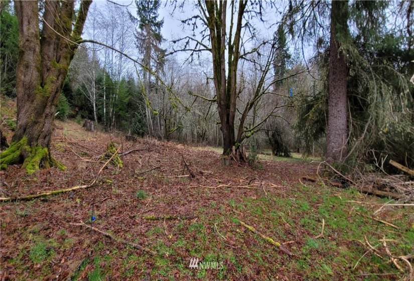 429 Rivendell, Grapeview, Washington 98546, 4 Bedrooms Bedrooms, ,3 BathroomsBathrooms,Residential,For Sale,Rivendell,NWM1877870