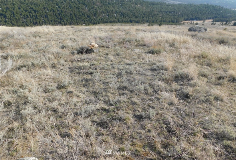 0 Big Boulder Lane, Tonasket, Washington 98855, ,Land,For Sale,Big Boulder Lane,NWM1594184