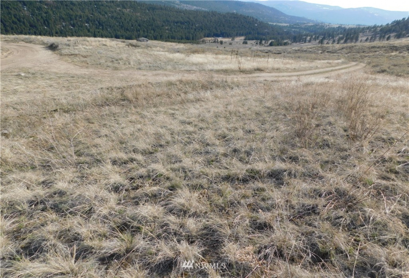 0 Big Boulder Lane, Tonasket, Washington 98855, ,Land,For Sale,Big Boulder Lane,NWM1594184