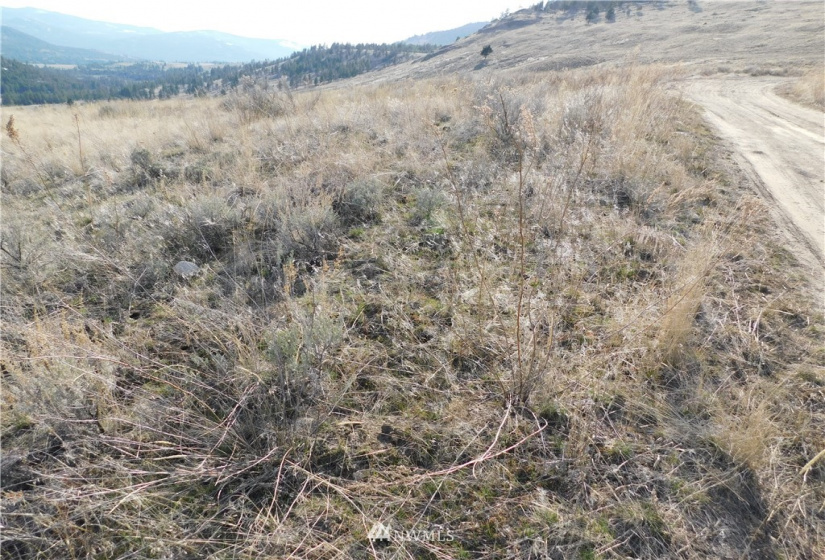 0 Big Boulder Lane, Tonasket, Washington 98855, ,Land,For Sale,Big Boulder Lane,NWM1594184