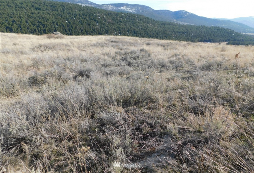 0 Big Boulder Lane, Tonasket, Washington 98855, ,Land,For Sale,Big Boulder Lane,NWM1594184
