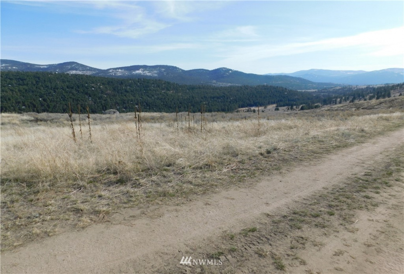 0 Big Boulder Lane, Tonasket, Washington 98855, ,Land,For Sale,Big Boulder Lane,NWM1594184