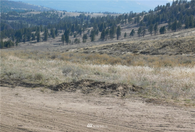 0 Big Boulder Lane, Tonasket, Washington 98855, ,Land,For Sale,Big Boulder Lane,NWM1594184