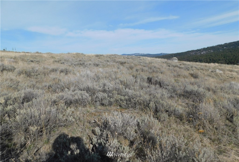 0 Big Boulder Lane, Tonasket, Washington 98855, ,Land,For Sale,Big Boulder Lane,NWM1594184