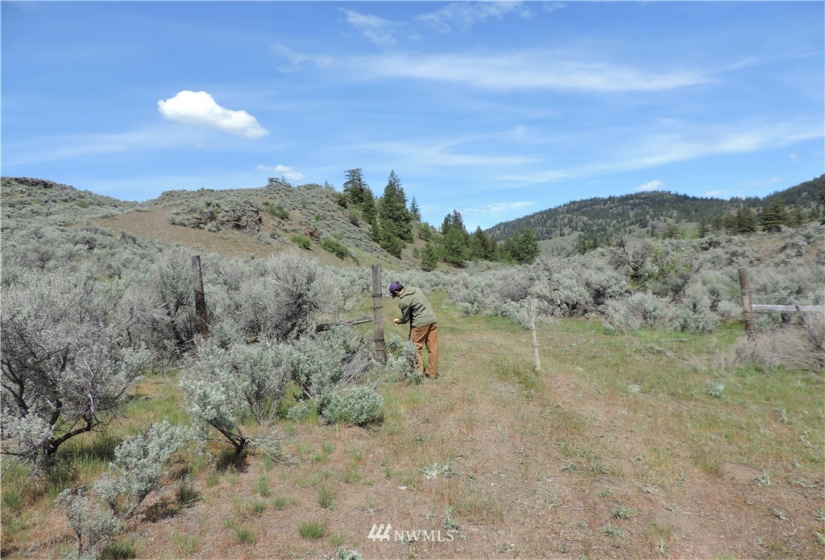 84 Wannacut Lake, Tonasket, Washington 98855, ,Land,For Sale,Wannacut Lake,NWM1626349