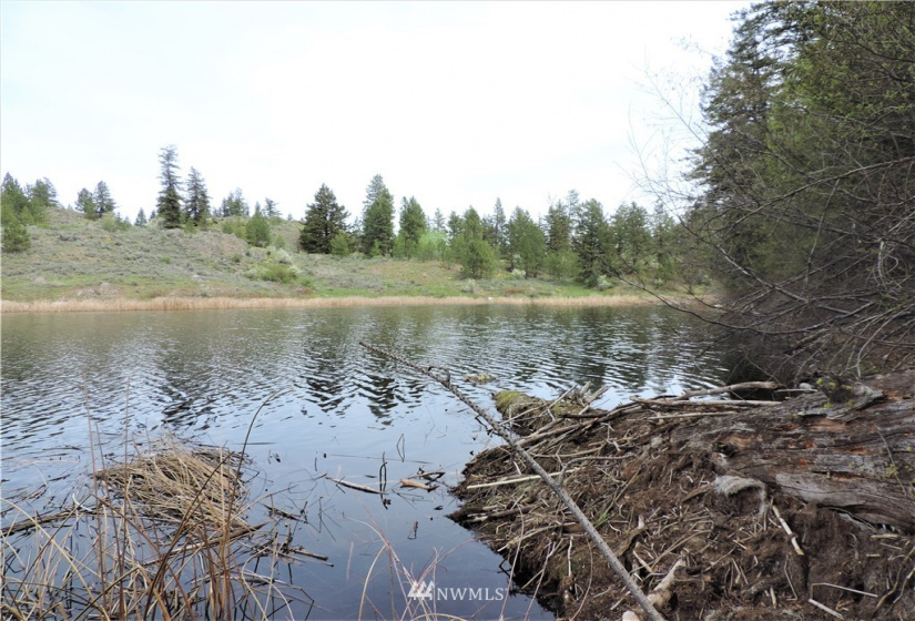 84 Wannacut Lake, Tonasket, Washington 98855, ,Land,For Sale,Wannacut Lake,NWM1626349