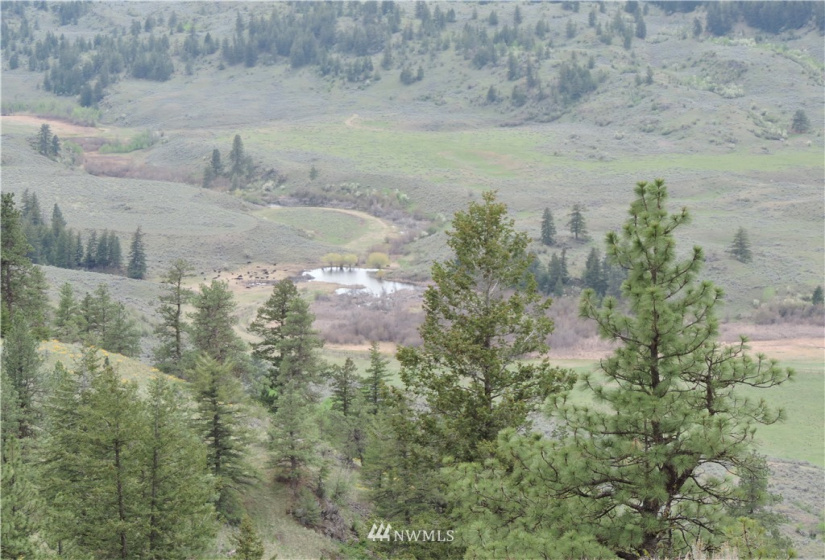 84 Wannacut Lake, Tonasket, Washington 98855, ,Land,For Sale,Wannacut Lake,NWM1626349