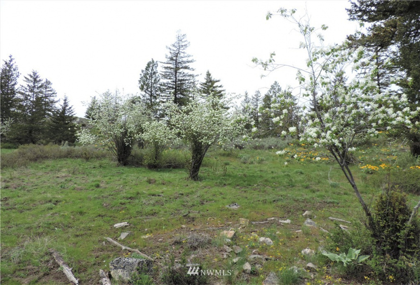 84 Wannacut Lake, Tonasket, Washington 98855, ,Land,For Sale,Wannacut Lake,NWM1626349