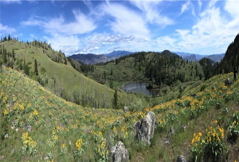 84 Wannacut Lake, Tonasket, Washington 98855, ,Land,For Sale,Wannacut Lake,NWM1626349