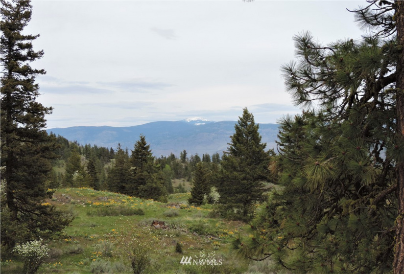 84 Wannacut Lake, Tonasket, Washington 98855, ,Land,For Sale,Wannacut Lake,NWM1626349