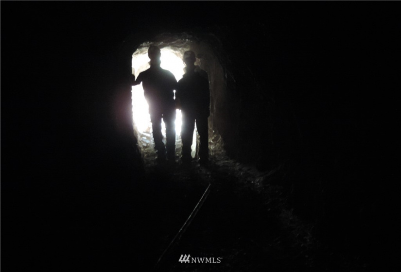 84 Wannacut Lake, Tonasket, Washington 98855, ,Land,For Sale,Wannacut Lake,NWM1626349