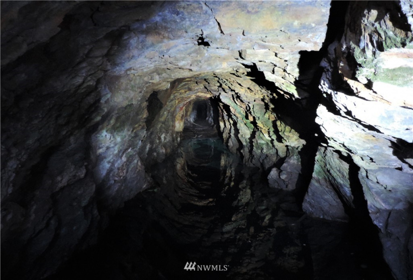 84 Wannacut Lake, Tonasket, Washington 98855, ,Land,For Sale,Wannacut Lake,NWM1626349