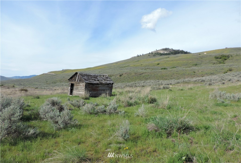 84 Wannacut Lake, Tonasket, Washington 98855, ,Land,For Sale,Wannacut Lake,NWM1626349
