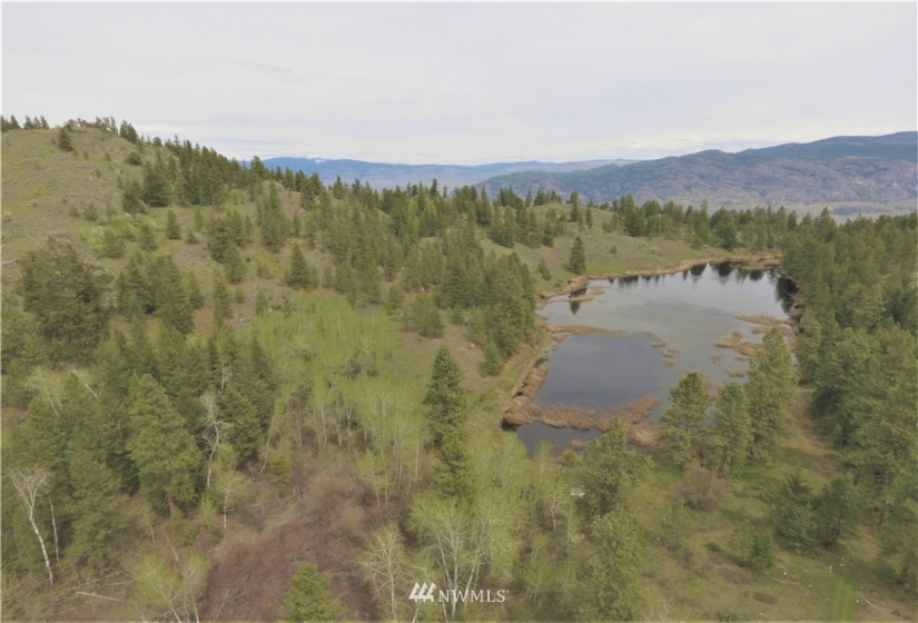 84 Wannacut Lake, Tonasket, Washington 98855, ,Land,For Sale,Wannacut Lake,NWM1626349