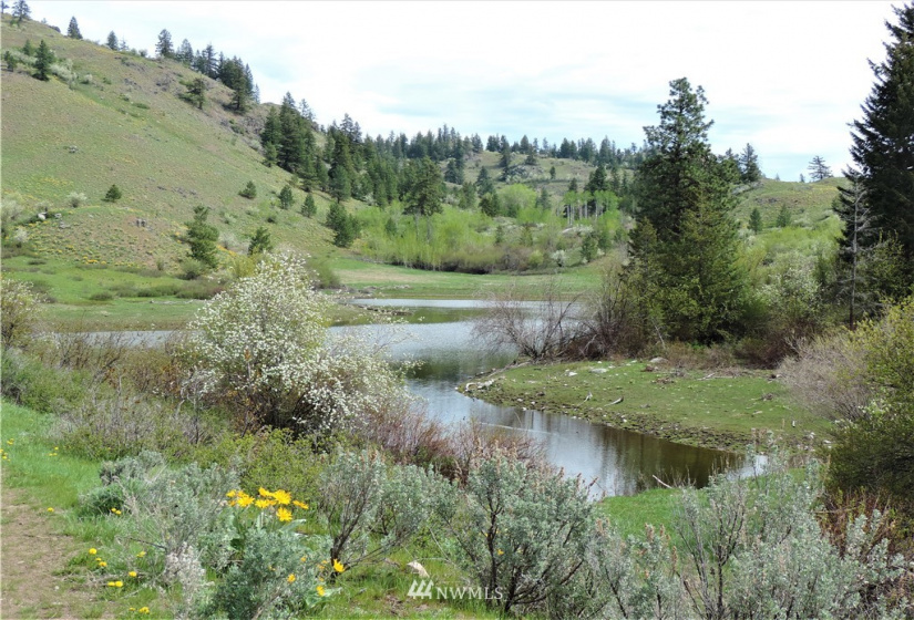 84 Wannacut Lake, Tonasket, Washington 98855, ,Land,For Sale,Wannacut Lake,NWM1626349