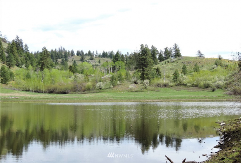 84 Wannacut Lake, Tonasket, Washington 98855, ,Land,For Sale,Wannacut Lake,NWM1626349