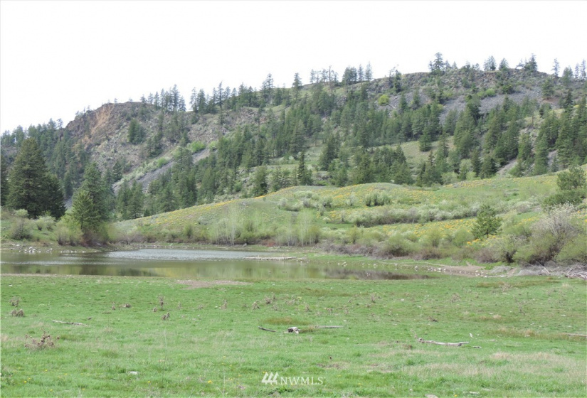 84 Wannacut Lake, Tonasket, Washington 98855, ,Land,For Sale,Wannacut Lake,NWM1626349