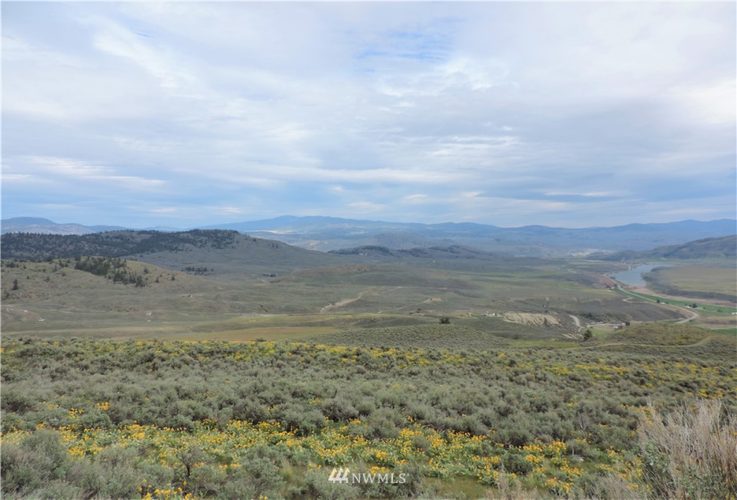 84 Wannacut Lake, Tonasket, Washington 98855, ,Land,For Sale,Wannacut Lake,NWM1626349