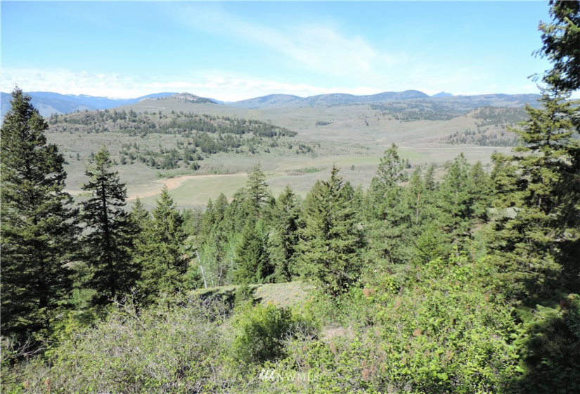 84 Wannacut Lake, Tonasket, Washington 98855, ,Land,For Sale,Wannacut Lake,NWM1626349